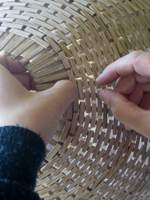 Agnes Keil, Das Samenkorn, Entstehungsprozess, 2016